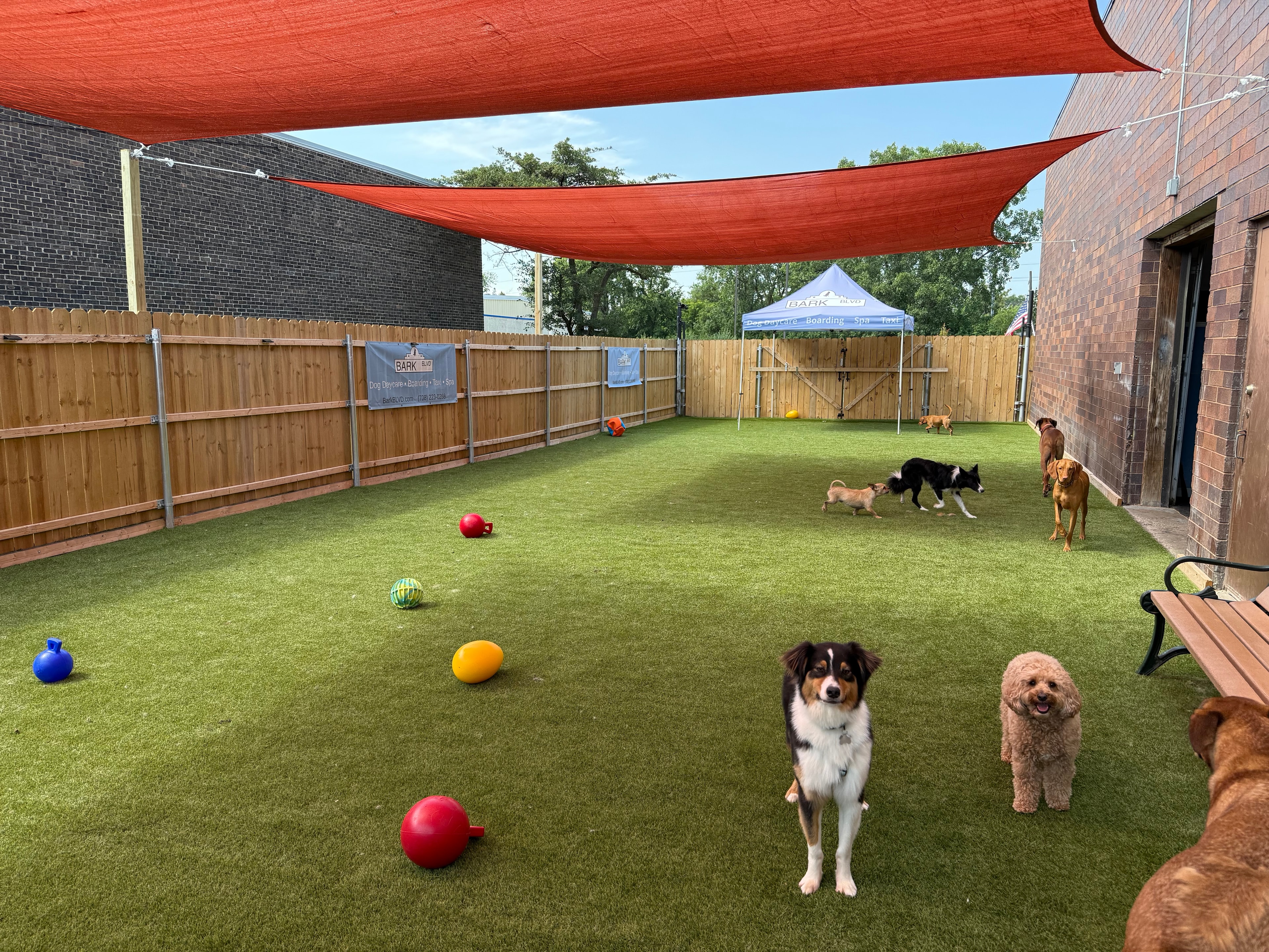 Bark BLVD play groups
